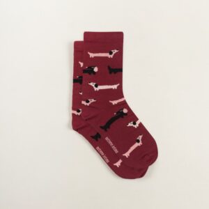 Dámské ponožky pejsci Extreme intimo velikost: 39/41